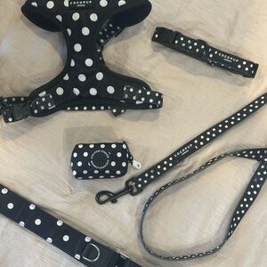 Cocopup Dog Harness Set